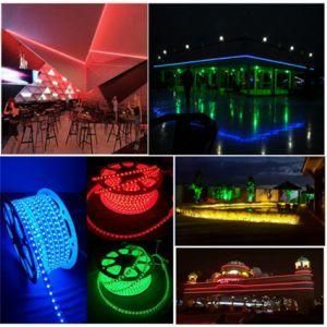 0.5m/Cut 5050 LED Flex Rope Light