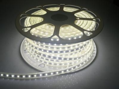 CE RoHS Certification 60LEDs/M Waterproof IP67 AC 110V 220V SMD 5730 LED Strip Lamp