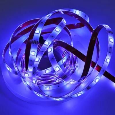 Alexa LED Strip Light