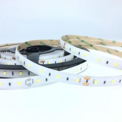 High Flux White Warm White Pointless Flexible COB LED Strip RGB LED Lighting