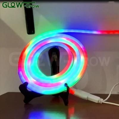 IP65 Waterproof 24V RGB LED Dream Neon Flex Light for Home Lighting