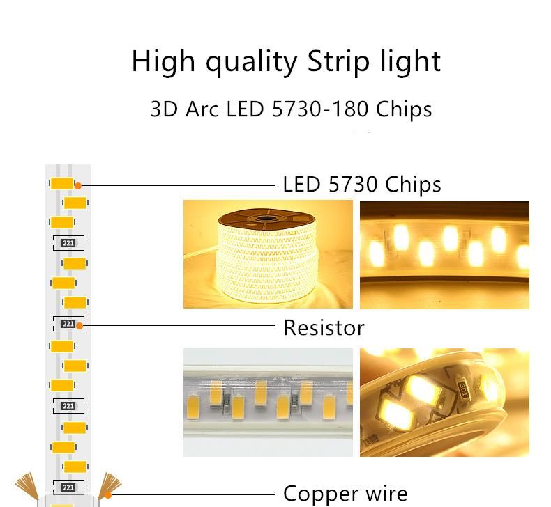 LED Strip Light RGB LED 5050 2835 Waterproof 220V Christmas Colored Lamp