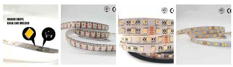 High Brightness 28.8W/M Double Row 5050SMD Flexible LED Strip Light