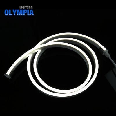 12V IP68 Waterproof Outdoor Dsi LED Strip Light