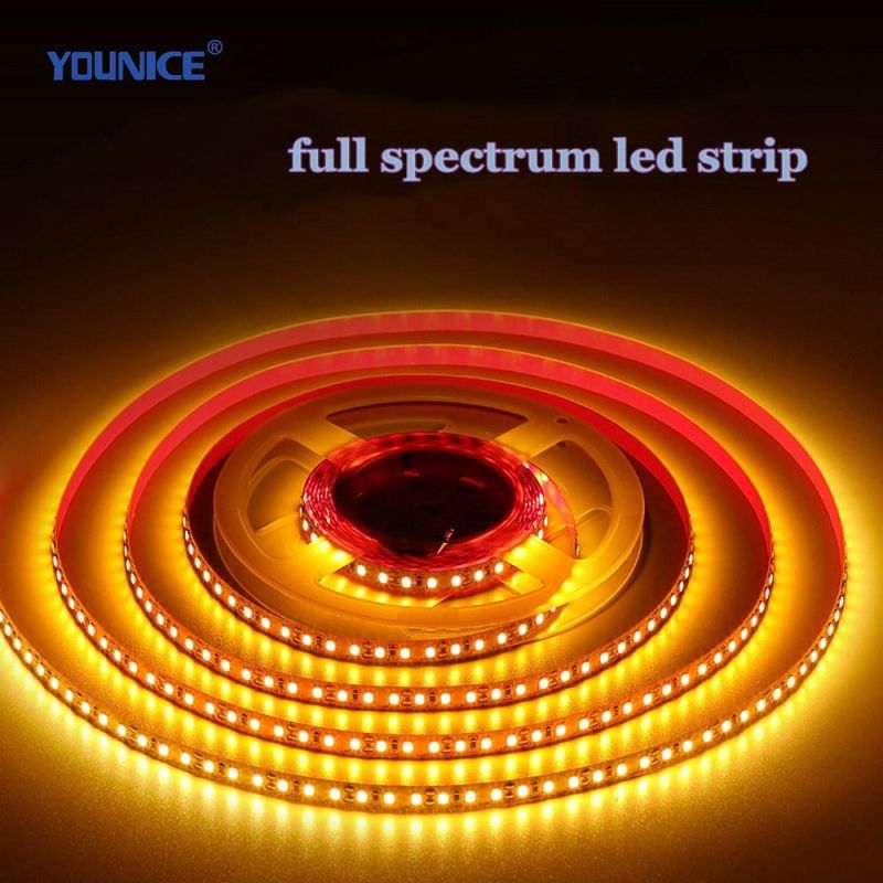 10mm Width DC24vd CRI>95 Ra>97 Full Spectrum 2700K LED Strip