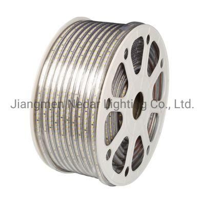 Ce RoHS LED Strip Light LED Rope Light LED Ribbon 10m Roll 25m Roll 50m Roll Package