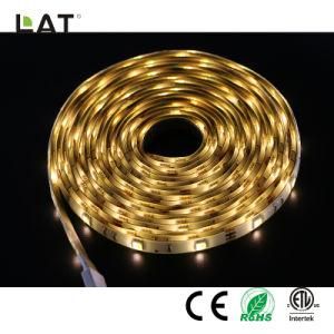 DC24V 1m IP65 Double CCT SMD5025 Ww and Cw 60/120LEDs Flexible LED Strip