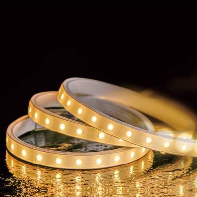 LED Strip Light 220V High Voltage LED Strip IP65 Waterproof