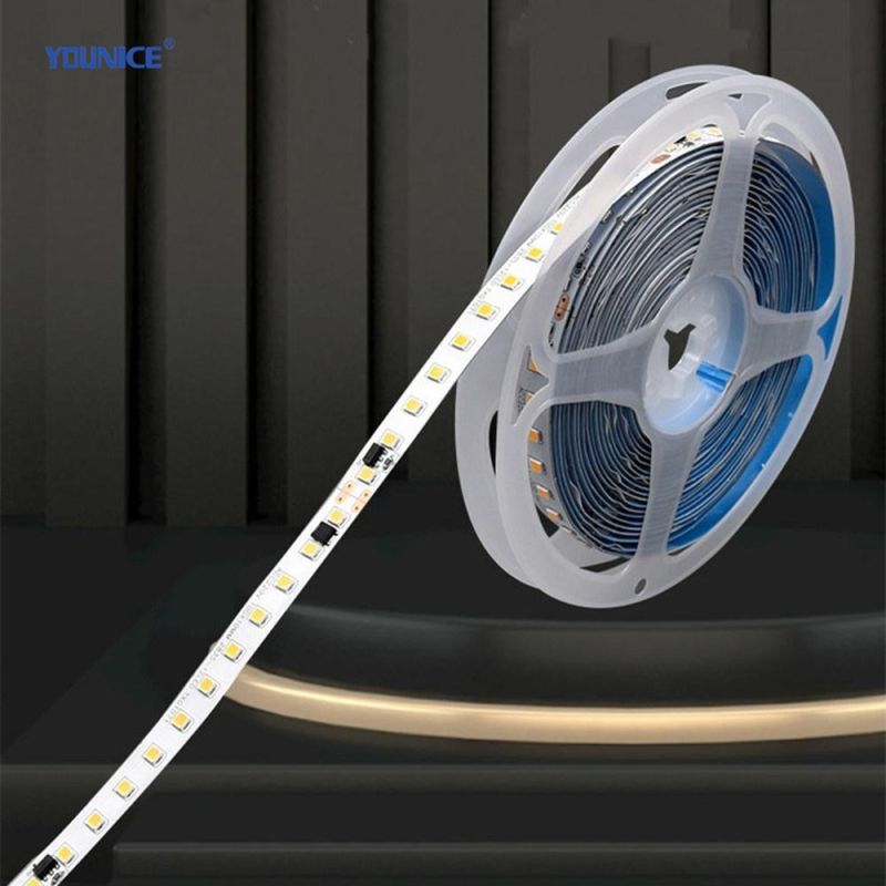 IP67 Silicone Hollow Extrusion 220V High Voltage 12W LED Flexible Strip