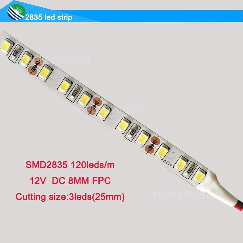 IP20/IP65/IP67/IP68 SMD2835 LED Flexible Strip for Indoor Outdoor Light