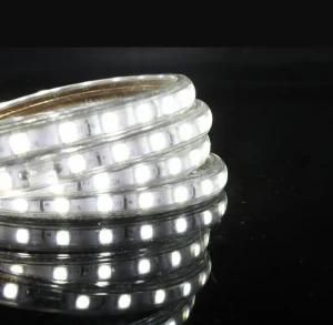 5050 60LEDs 220V/240V LED Strip/Flexible Strip LED