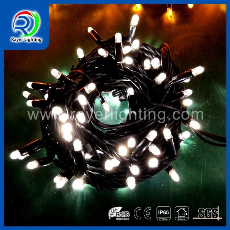 Changeable Color RGB String Lights LED Christmas Auto-Twinkling String Light