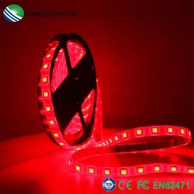 Decorative Light RGB Multi-Color Tape SMD5050 Flexible LED Strips 14.4W/M