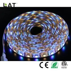 DC24V 3m IP65 Smart WiFi SMD 5050 Rgbww 30/60/120LEDs Flexible LED Strip Light Work with Echo Enable Alexa Voice