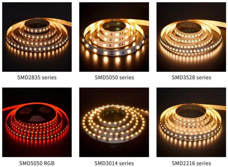 Factory Price LED Rope Light SMD2835 128LEDs 6000K DC24V IP20 for Indoor