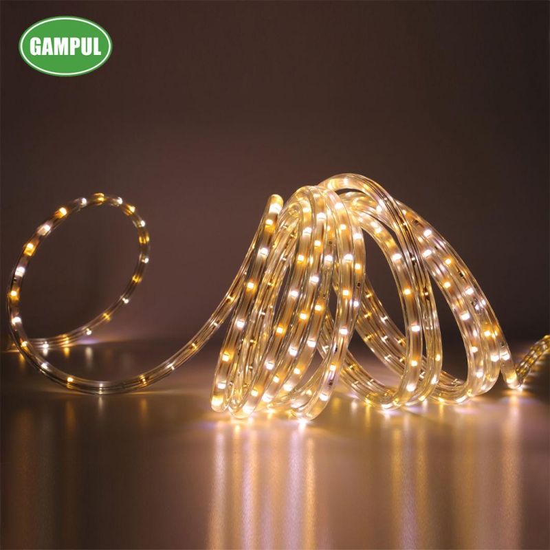 China Color Changed White Flexible LED Decorative Rope Light 3528SMD