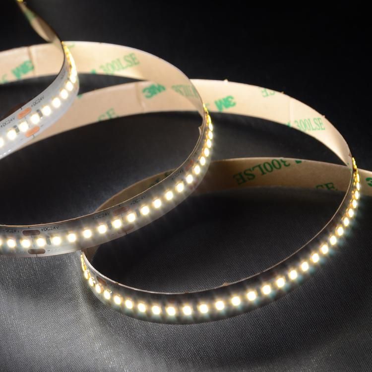 SMD2216 240LEDs/m DC12V/24V 10mm High Quqlity LED Strip with Super brightness