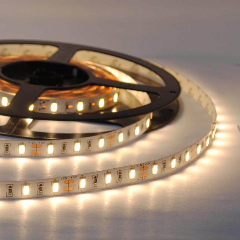 200lm/W Super Bright DC24V SMD2835 6500K LED Flexible Tape Ribbon Strip