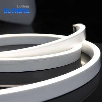 Flat Shape Seamless Flex Neon Strip Light