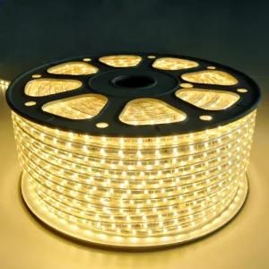 High Voltage 110V/220V 3528 60LEDs LED Light Bar for Home Decoration