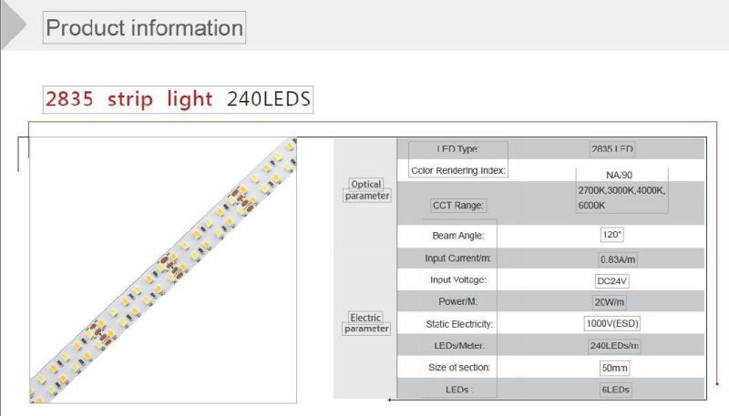 Wholesale Chip Linear Two Rows LED Strip Light 2835 240LEDs/M DC24V for Decorate