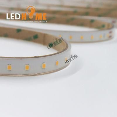 Hight Bright SMD2835 LED Strip 60LEDs/M From China