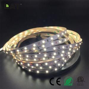 High Brightness DC12V 24V IP65 SMD2835 Ww Cw 3m 60LEDs Flexible LED Strip Tape Ce ETL UL