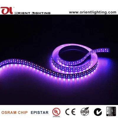 UL Ce Epistar 240LEDs/M SMD2835 RGBA Flexible LED Strip Light