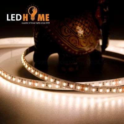 DC24V/12V SMD2110 Flexible LED Strips 180LEDs CRI97