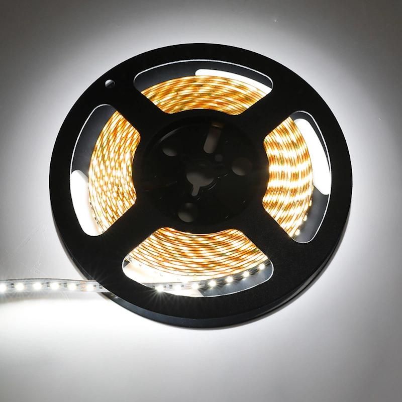 CCT Changing Color SMD2216 High CRI 90 LED Strip Light