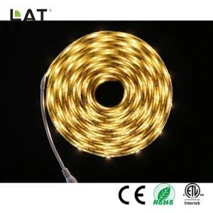 SMD5050 5m Ww/Cw 30/60/120LEDs Flexible LED Strip Light