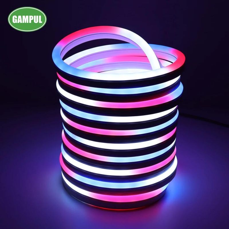 China Custom Waterproof Flexible RGB Chasing LED Neon Lights