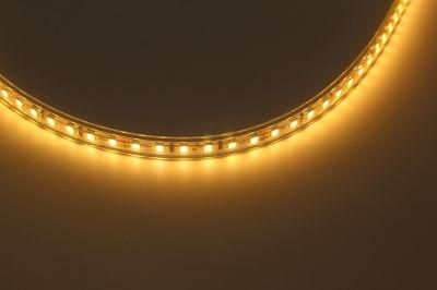 Custom 5mm Width LED Strip 2835 120LEDs 24V Wide LED Light Strip