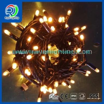 Christmas Festival Decoration Lighting Outdoor Lighting Fairy Lights LED String Light