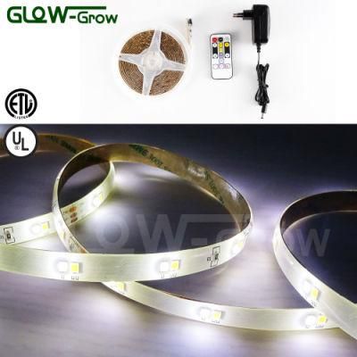 CCT Flexible LED Strip Light with Remote Controller for Closet Lighting Decoration