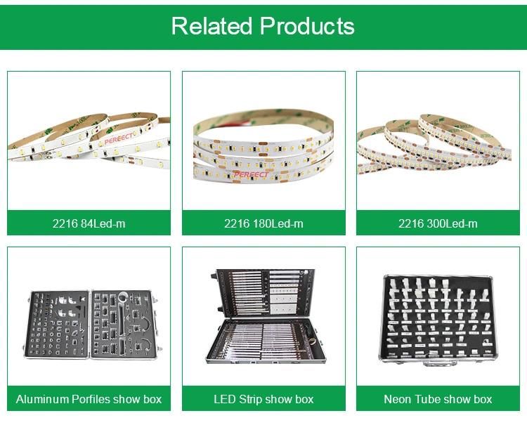 5050SMD 60LED DC12V 24V RGBW 4in1 LED Strip with 5 Pin LED Connector LED Strip Lighting