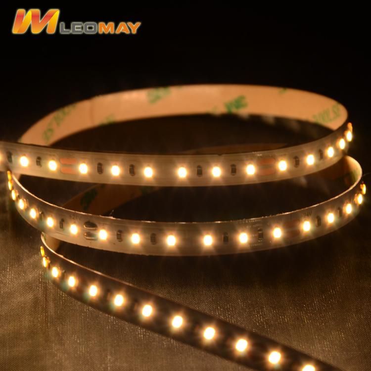 waterproof/non-waterproof flexible light SMD 2216 LED Strip with CE