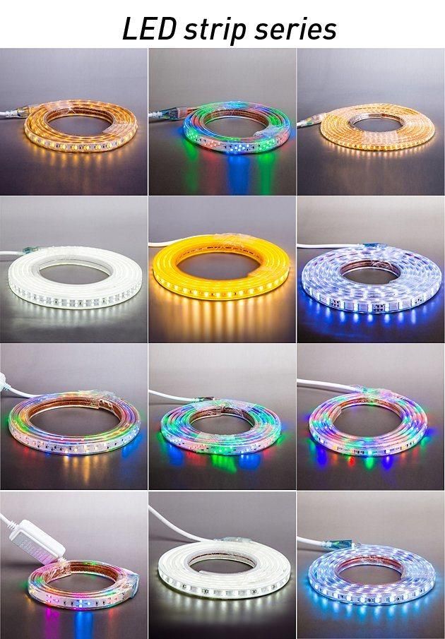 Waterproof Optional SMD 5050 2835 RGB Flexible LED Strips for Indoor Outdoor