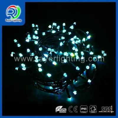 LED Holiday Synchro String Light Garden Decoration LED String Light