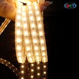 60LEDs IP67 SMD5630 LED Strip Light as Christmas Lights