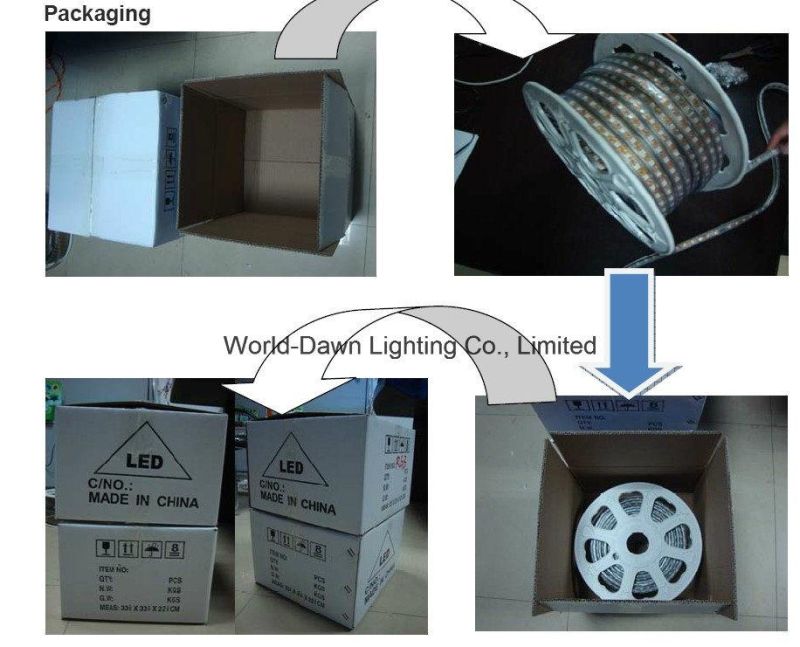 SMD5050 IP65 LED Rope Light with Ce&RoHS Approval