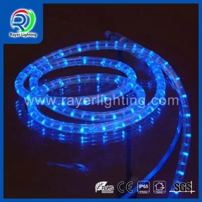 LED Strip Light LED Flexible Light LED Rope Light LED Home Light LED Street Decoration