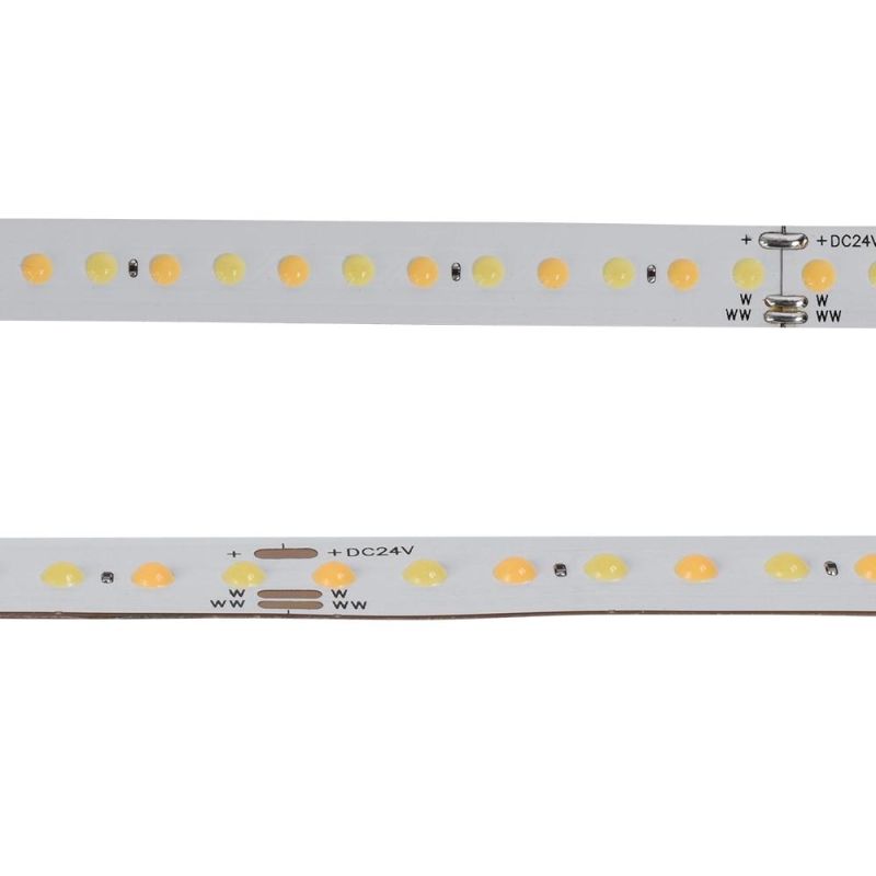 DOT COB 160LED/M 180 Wide Beam Angle Flexible COB LED Strip Light