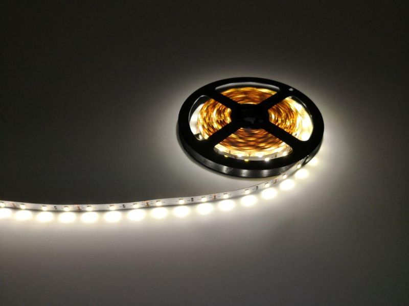 Colorful Tape Light Flexible Waterproof Constant Current 120 LED SMD 2835 5mm RGB LED Strip