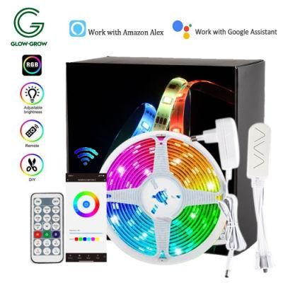 12/24 Volt Waterproof IP44 WiFi RGB Sync Flexible 5050 SMD LED Lights Strip with Alexa Google for Christmas Ramadan Car Supermarket Decoration