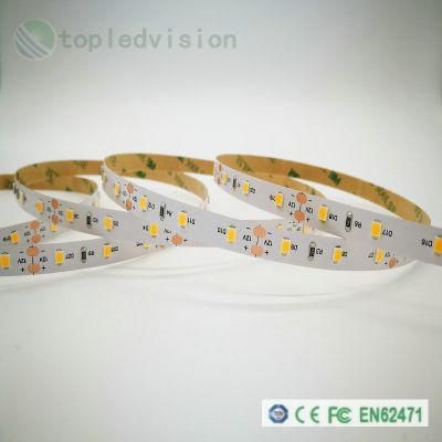 High Bright SMD2835 LED Strip 60LEDs/M 12W/M with IEC/En62471