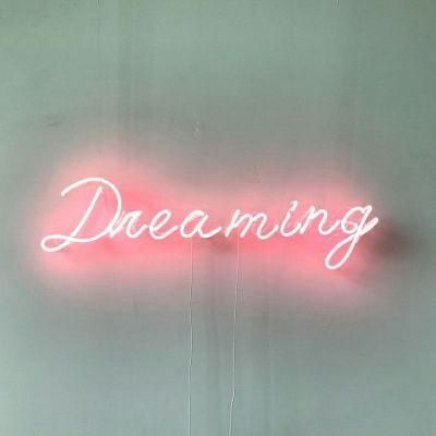 Drop Shipping Factory Cheap Price Custom LED Neon Sign Neon Light Dreaming Home Neon Lighting