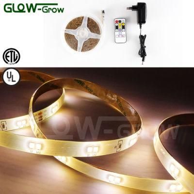 5m 12V 24V White Cool White Warm White Natural White CCT LED Strip Light