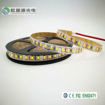 12V Single Color SMD2835 Flexible LED Strip Lamp Lm-80 TUV