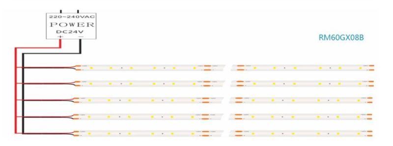 24 V Super Long Welding-Free S Type Series Flex Strip